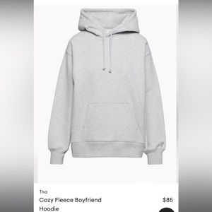 Aritzia TNA cozy fleece boyfriend hoodie